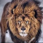 Patrick Vitalino - @patrick_vitalino23 - Instagram