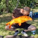 Patrick vitale - @patvit77 - Instagram