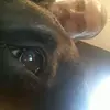 Patrick Van de Vorst - @patrickvandevorst - TikTok