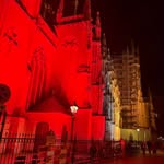 Patrick Vorstenbosch - @vorstenboschpatrick - Instagram