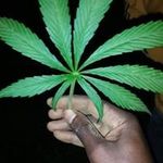 Patrick Wachira - @patrickwachirabeez - Instagram