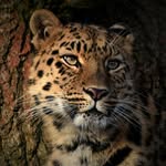 Patrick Wackler - @patrickwackler - Instagram