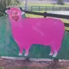 patrickwackrow - @patrickwackrow - TikTok