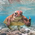 Jean Patrick - @patrick_wake_up - Instagram