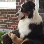 Patrick Wakelkamp - @patrickwakelkamp - Instagram