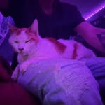 @patrickwakelin - Instagram