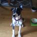 Patrick Wakeley - Facebook