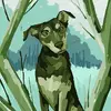 Patrick Wallace - @patrick.wallace16 - TikTok