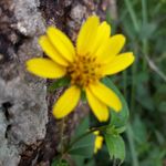 Patrick wallen - @wallen.4533 - Instagram