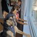 Patrick Wamsley-Kennedy - Facebook