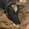 Patrick Wans - @patrick.wans1 - TikTok