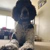 Patrick Warren - @patrick_warren16 - TikTok