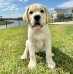 Patrick Way - Facebook