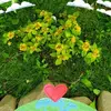 Patricia Weatherall Groff - @patricia.weatherall - TikTok