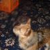 Patrick Weatherall - Facebook