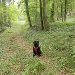 Patrick Weber - @patrick.weber54640 - Instagram