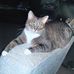 Pat Weddle - Facebook
