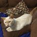 Patrick Weddle - Facebook