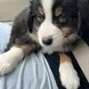patrickweers927 - @patrickweers927 - TikTok