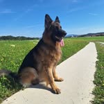 Patrick Weigand - @patrick_oesterreicher - Instagram