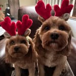 Patrick Weinberg - @pdaddy68 - Instagram