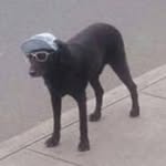Chris Patrick Weiner - @useless.dank - Instagram