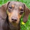 Patrick - @patrick.weiner - TikTok