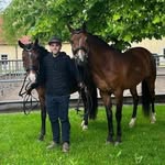 Patrick Gösweiner - @patrickgosweiner - Instagram