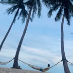Patrick Weis - @patibear08 - Instagram