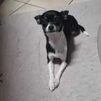 Patrick Weis - Facebook