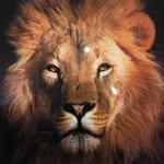 patrick.Weissensteiner - @patrick.weissensteiner - Instagram