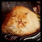 Patrick Weldon - @sweldo55 - Instagram