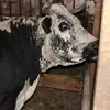 Patrick Welker - @patrick.welker4 - TikTok
