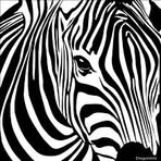 Patrick Welker - Facebook