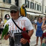 Patrick Welters - @patrickwelters - Instagram