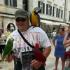patrickwelters - @patrickwelters - TikTok