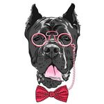 Patrick Welz - @hairdogtor - Instagram