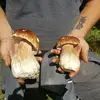 patrickwenger91 - @patrickwenger91 - TikTok