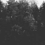 Patrick Wert - @patrick.wert - Instagram