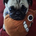 Patrick Wert - @patrickwert9 - Instagram