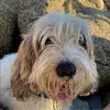 Patrick Westbury - @patrick.westbury - TikTok