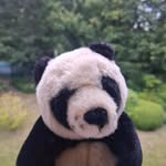 Jan-Patrick Westphal - @panda_muss_reisen - Instagram
