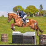 Patrick Whelan - @patrickwhelansporthorses - Instagram