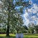 Patrick White - Facebook