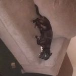 Patrick Whitt - @whitt5412 - Instagram