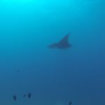 Patrick Wick - @p.wick - Instagram
