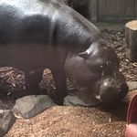 Patrick Wickham - @patrick_wickham_ - Instagram