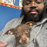 Patrick Wigfall - @bigp5437 - Instagram
