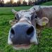 Patrick Wild - Facebook