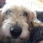 Patrick Wilkens - @wilkenspatrick - Instagram